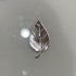Pure Silver Kumkum Leaf Big 5g